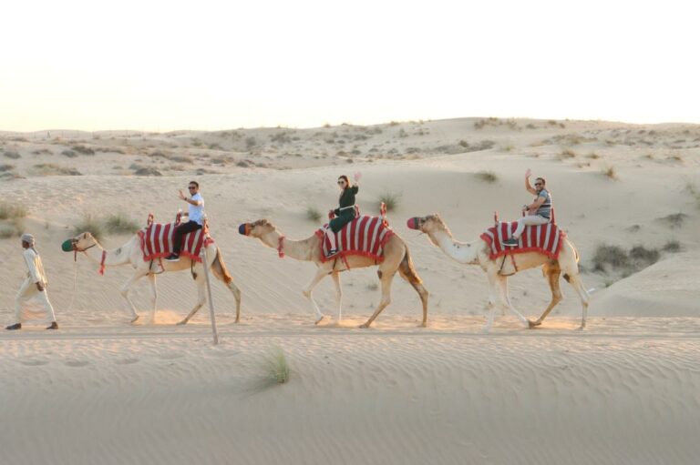 Customers riding camel